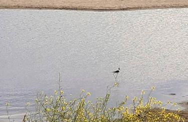 Maison de maître dans le village, bord de mer - Foto 15