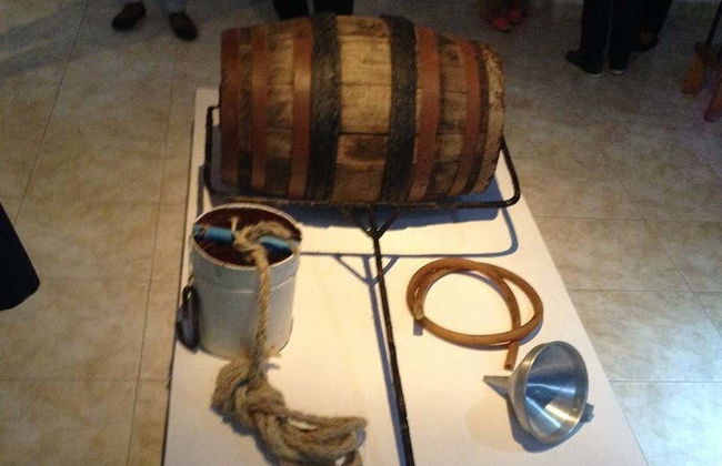 Excursión a Pedra de Lume + Baño con tiburones en Shark Bay - Foto 2