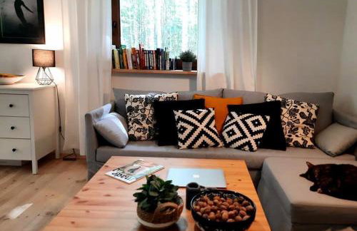 Między Brzozami - Foto 18