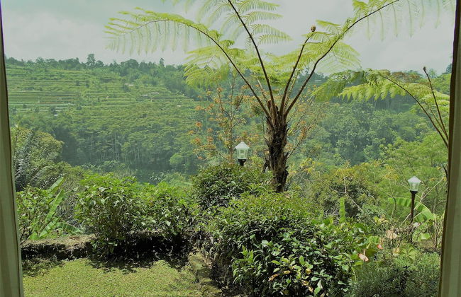 Shangrilah Villas - Foto 39