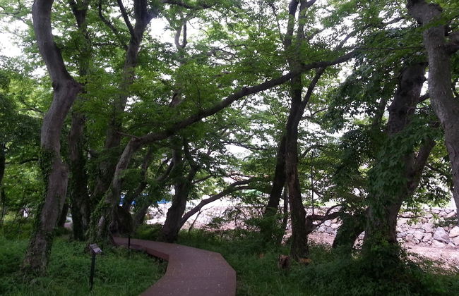 Namhae Gagopa Pension - Foto 71