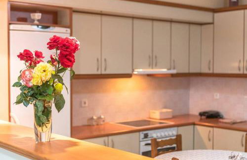 Dimitri's Mountain House - Foto 23