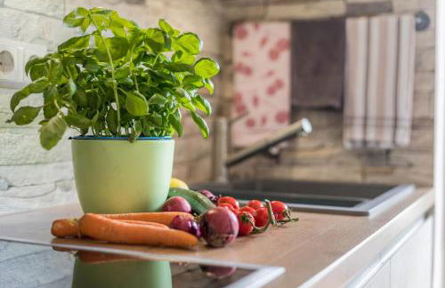 Friedolin im Bärenhüsli - Foto 10