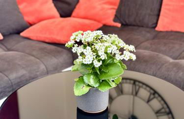 Gemütliches Haus in BERLiN Köpenick - Foto 6