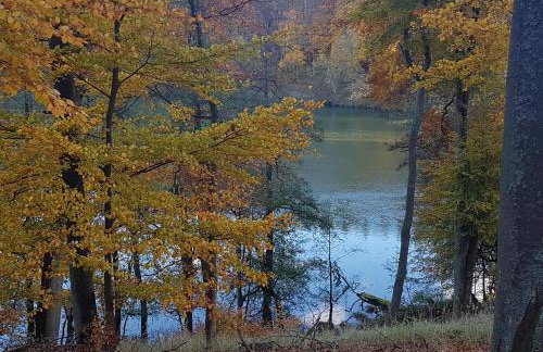 Villa Stare Osieczno - Foto 66