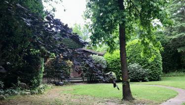 Caserio Arrigorri excelente ubicación jardín con BBQ perfecto para grupos - Foto 2