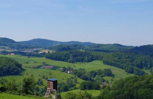 Gorxheimertal 92qm Allergikerfreundlich 2 Schlafzimmer 2 WC Terrasse - Foto 38