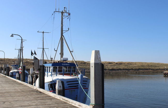 "Raisa" - 200m to the fjord - Foto 22