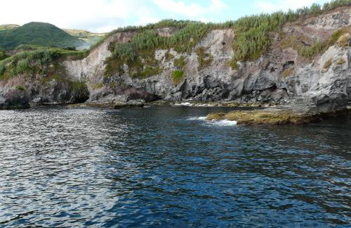 Fajazinha Cottage - Foto 56