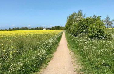 Familienfreundliches Ferienhaus Nahe Niobe Strand - Foto 29
