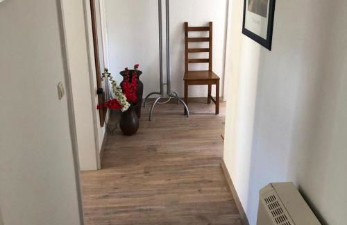 Pension Rudolph Riesa - Foto 8