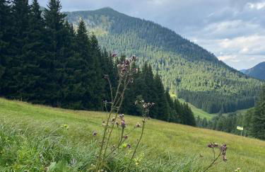 Feel-good apartment in Heufeld near Bad Aibling - Foto 11