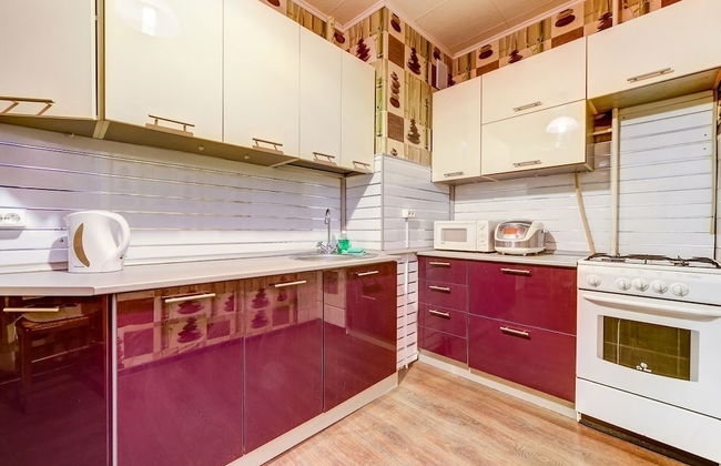 AG Apartment Iskrovskiy 1-13 - Foto 11