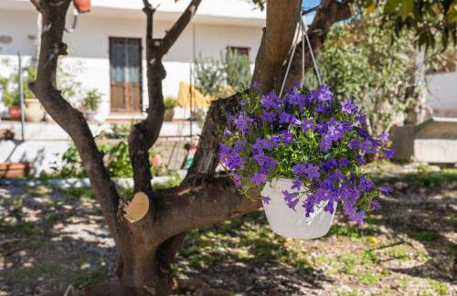 Casa Masala Irgoli - Foto 28