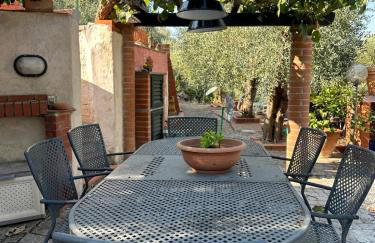Agrihome di Alberto Giuseppe Gulotta B&B Bella Vista Chalet La Vista - Foto 39