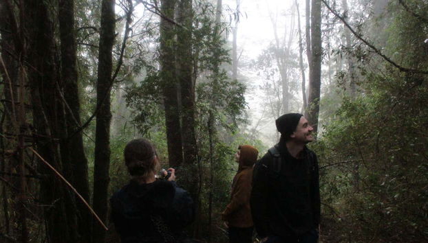 Disfrutando el tour por Senderos del Bosque