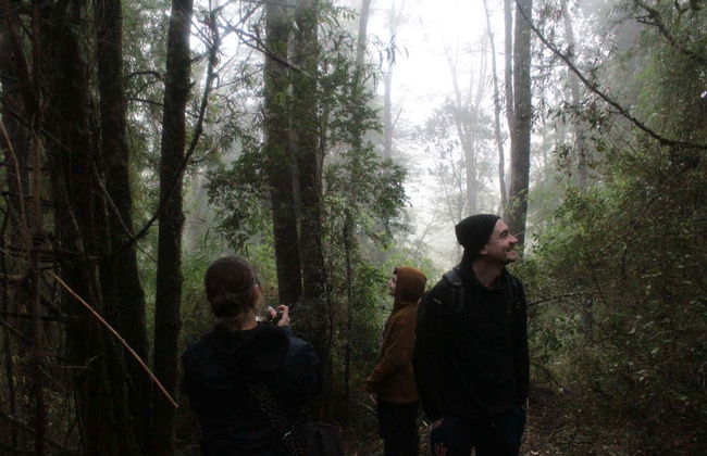 Senderos del Bosque Ecological Reserve Tour - Photo 2