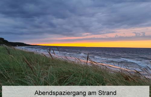 Ostsee-Urlaub-Zempin direkt am Küstenwald, nur wenige Minuten zum Strand, optimal für Paare mit 1 Hund bis 45 cm Schulterhöhe - Foto 26