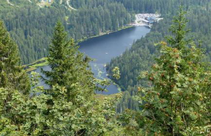 Ferienwohnungen Jonuscheit - Foto 12