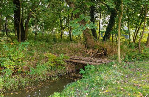 Pałac Kietlin - Foto 23