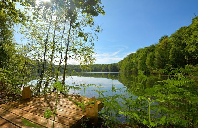 Treeloft Adventure in Nature for 4 People 17 - Foto 30