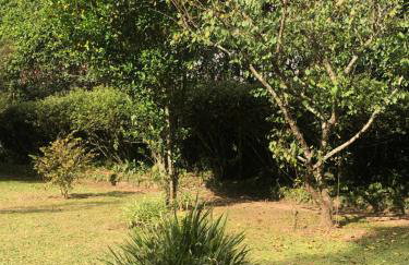 SITIO SIMPLESMENTE DEMAIS - Foto 39