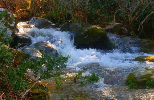 AT Rural NAVALINDA - Foto 28