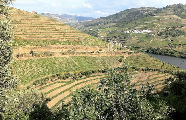 Quinta da Marka - Photo 64