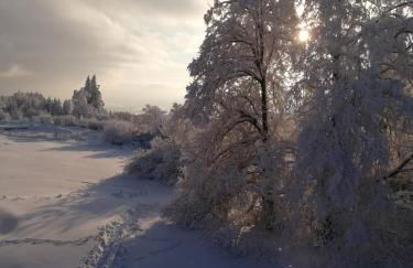 Wohnung im Herzen des Vogelsbergs direkt an der Herchenhainer Höhe - Foto 18