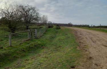 Suffolk View Apartment - Foto 4