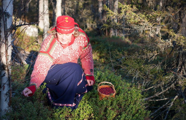 Wilderness chalet Kuusamo - Foto 50