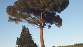 Apartment Magdic - Foto 4