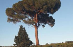 Apartment Magdic - Photo 4