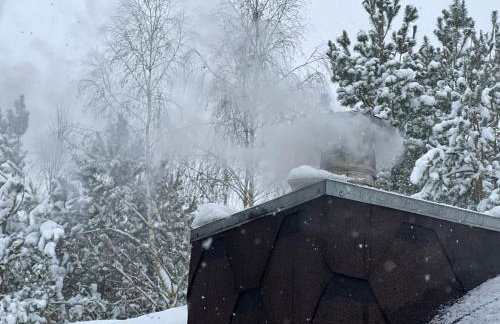 U Progu Lasu - Foto 78