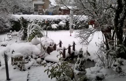 Haus Alexandra - Foto 18