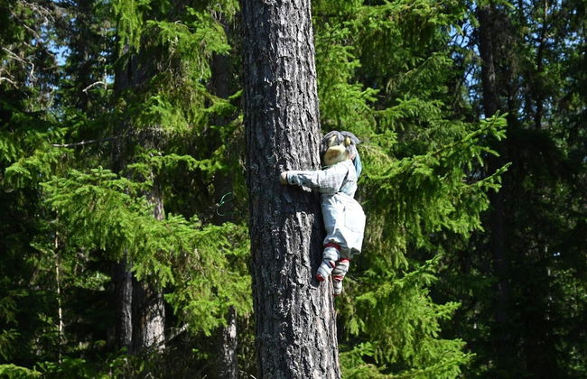 Charming Red Farmhouse Near Forsheda - Photo 9