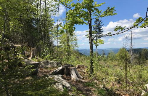 BLACKFOREST LOFT - Panoramablick Schwarzwald - Foto 36