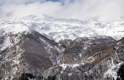 Residence Larice Bianco App n5 - Photo 25