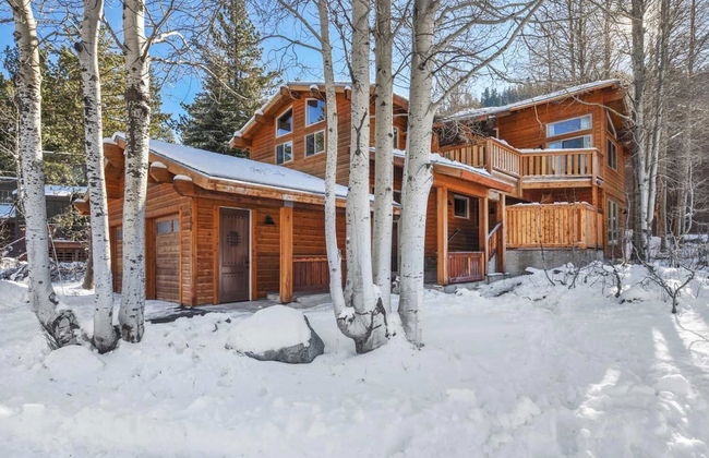 Alpine Chalet Nature Lovers Rejoice! Chic 4 BDR - Photo 48