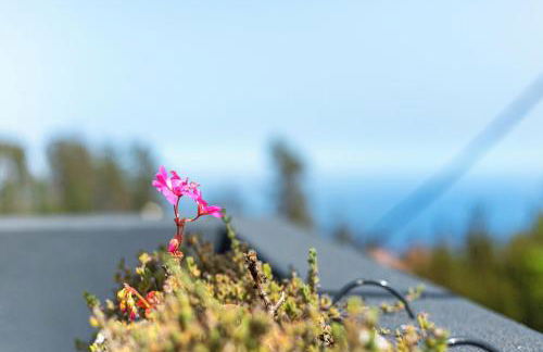 Palheiro Dos 3 A's - Soulful Stays - Foto 18