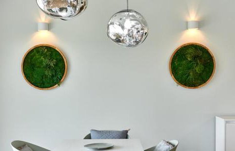 Green Forest - Photo 18