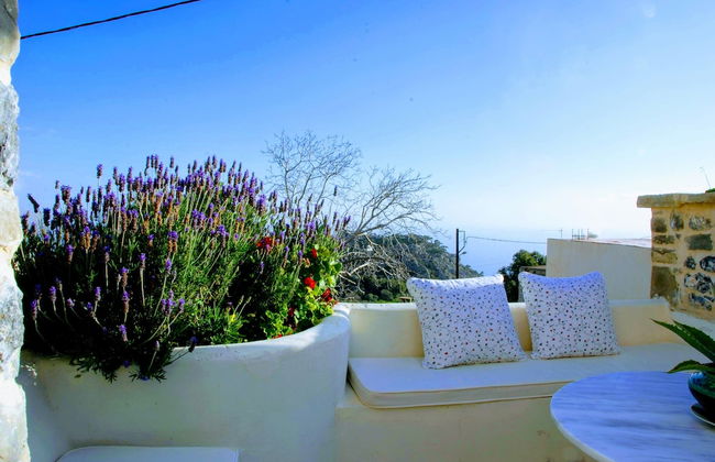 Villa Rosa - Foto 61