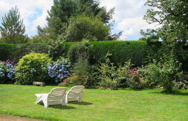 Blaue Hortensie - Foto 21