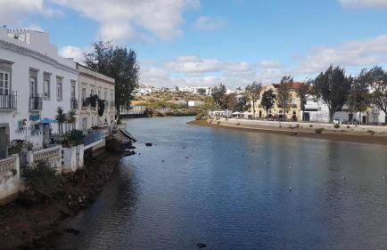 Luxury 3 bedroom Villa with Private Pool - Photo 38