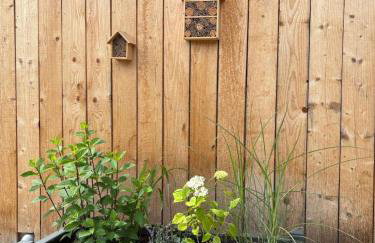 Dom Wakacyjny Brzozowy Gaj Bieszczady - Foto 53