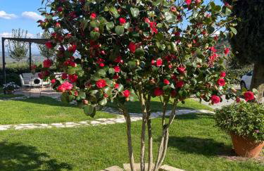 Casa Isabelle - Foto 6