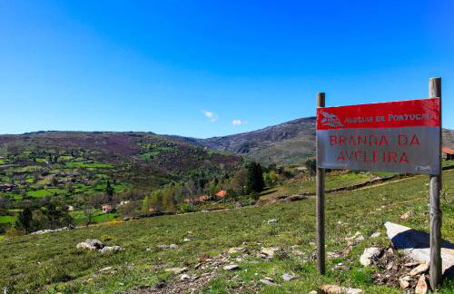 Branda da Aveleira - Foto 41
