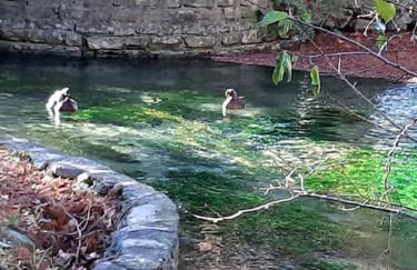 Appartement Au Murmure des Eaux à Fontaine-de-Vaucluse - Foto 19