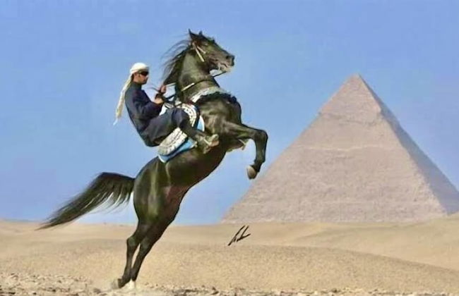 Magic Pyramids View Accommodation - Foto 6