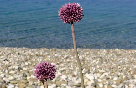 Villa Goitia - Foto 17